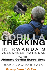 Gorilla Trek Rwanda