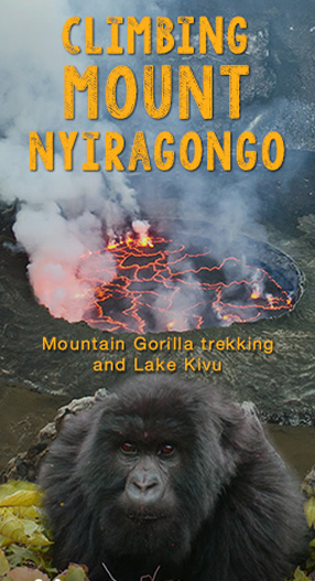 Congo Gorilla Safaris